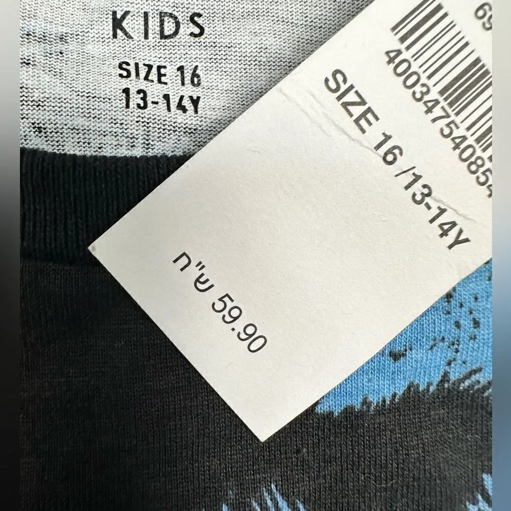 NWT American Eagle Kids Boys 2 Short Sleeve Tee Shirts Gray Logo Blue Palm - 14
